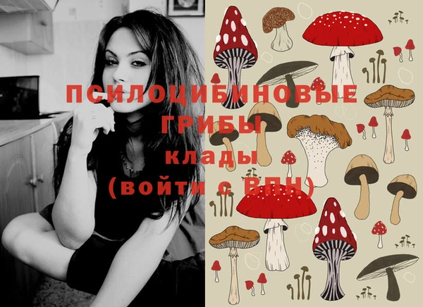 spice Волосово