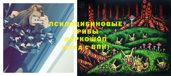 spice Волосово