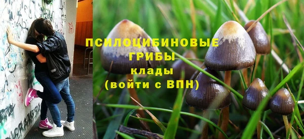 spice Волосово