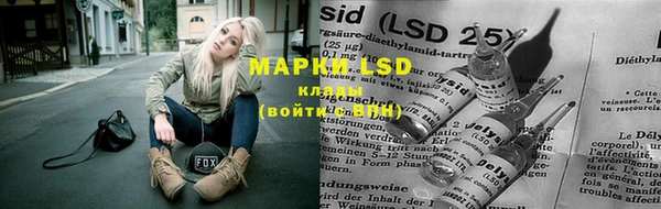 spice Волосово